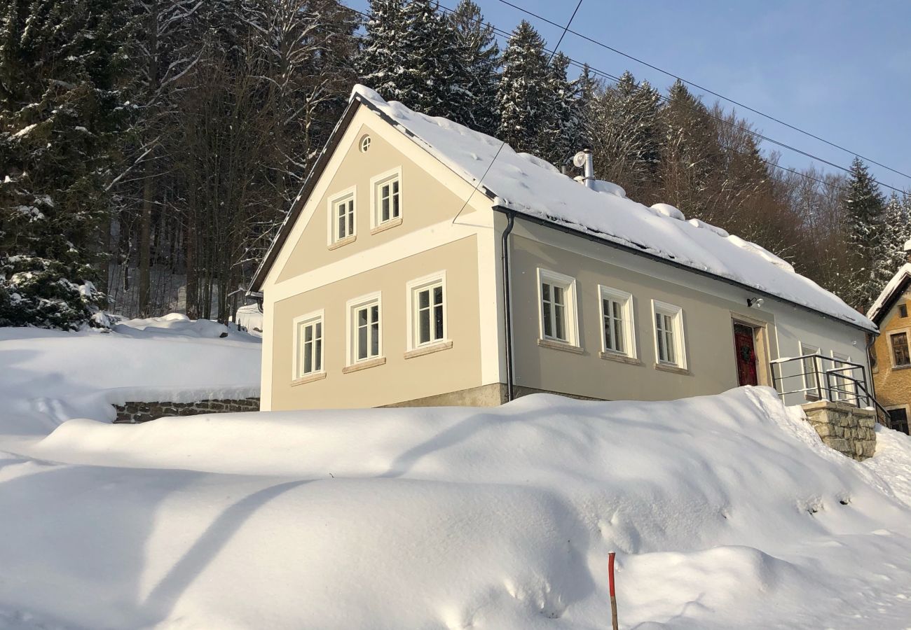 Villa in Desná - LDD032