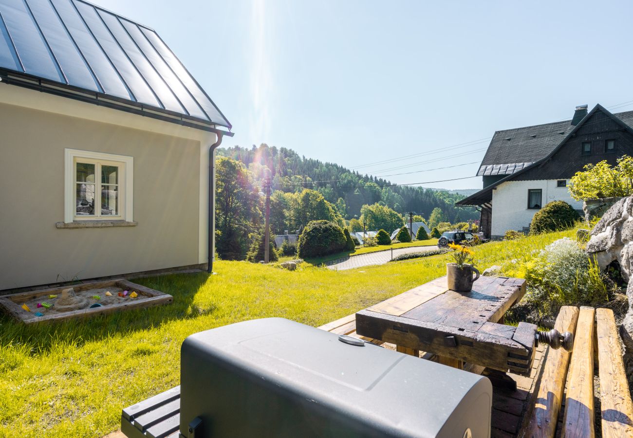 Villa in Desná - LDD032