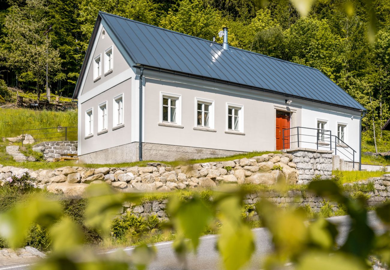 Villa in Desná - LDD032