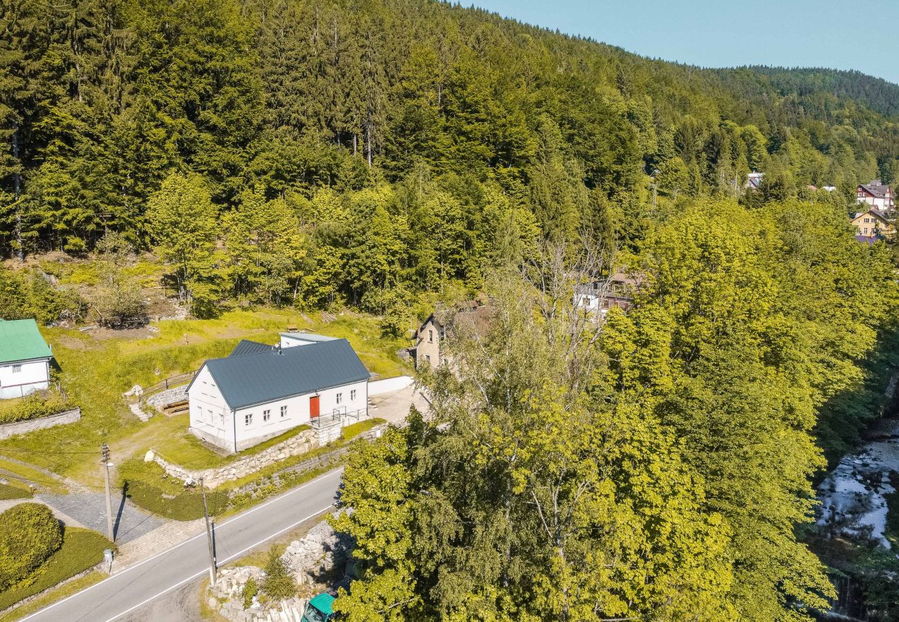 Villa in Desná - LDD032