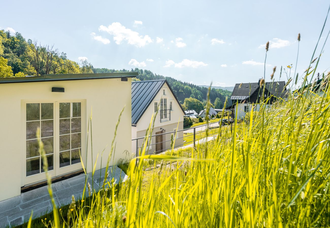 Villa in Desná - LDD032
