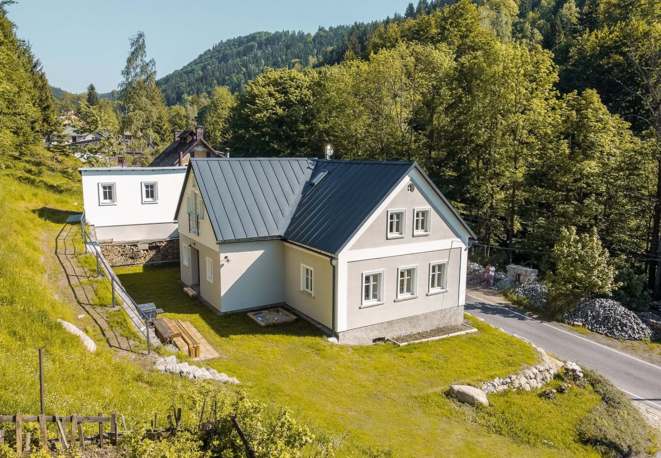 Villa in Desná - LDD032