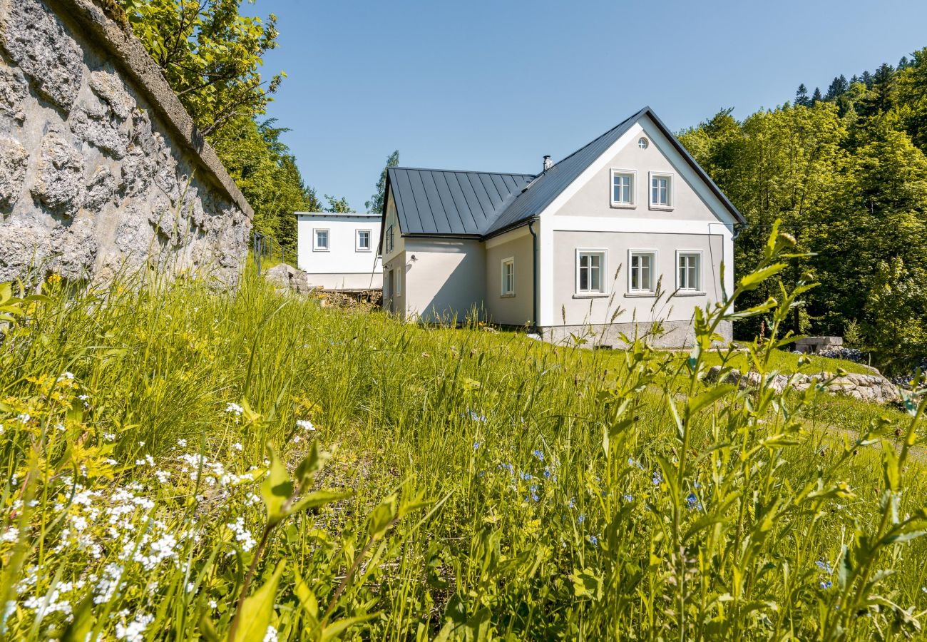 Villa in Desná - LDD032