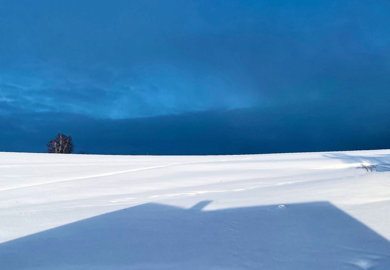 Villa in Víchová nad Jizerou - LVV033