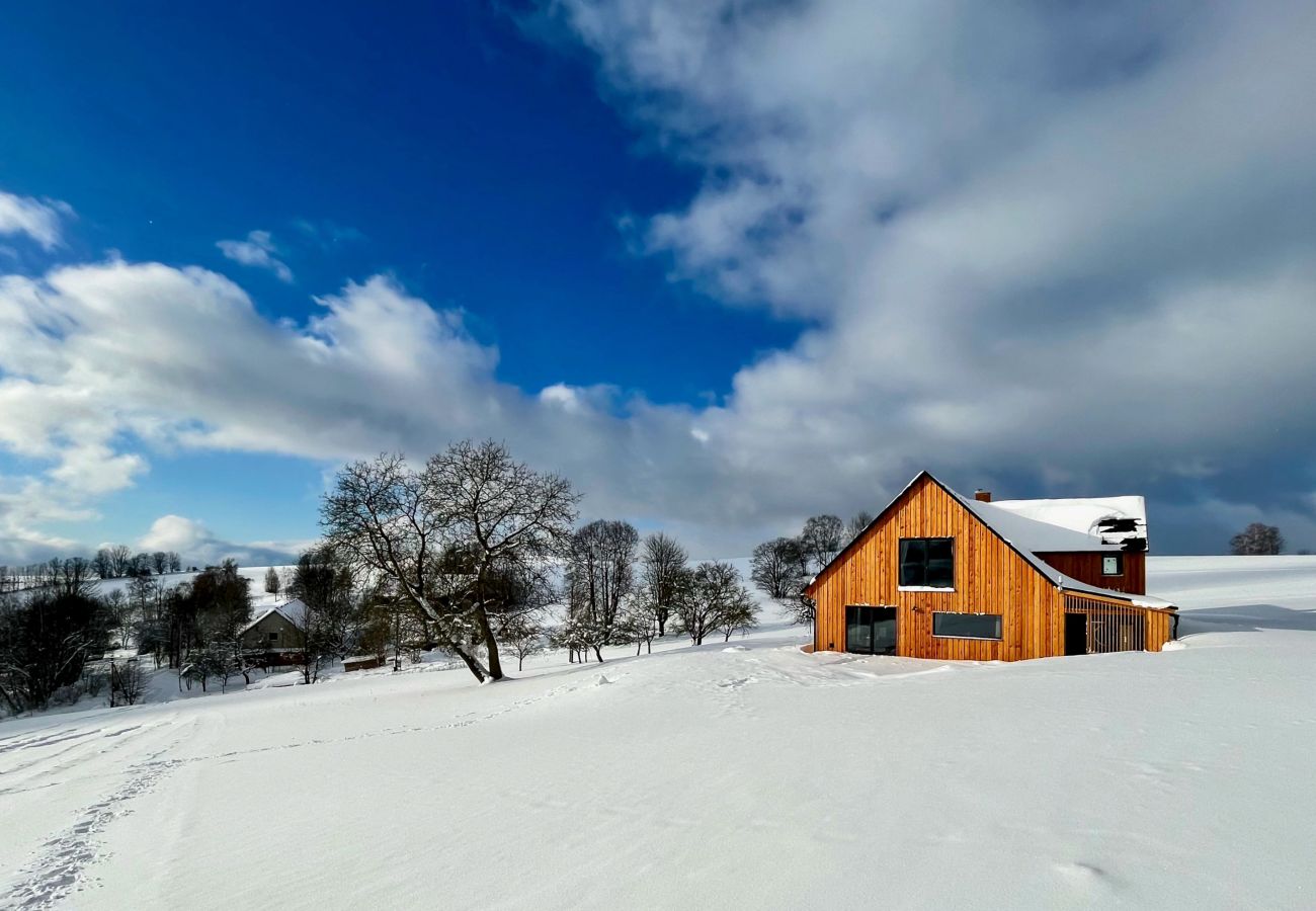Villa in Víchová nad Jizerou - LVV033