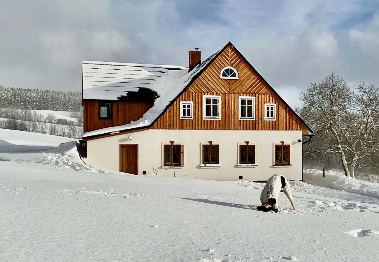 Villa in Víchová nad Jizerou - LVV033