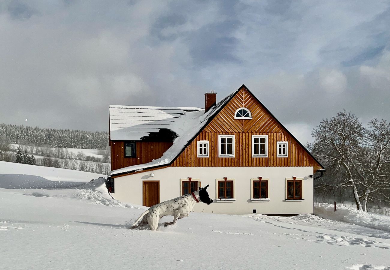 Villa in Víchová nad Jizerou - LVV033