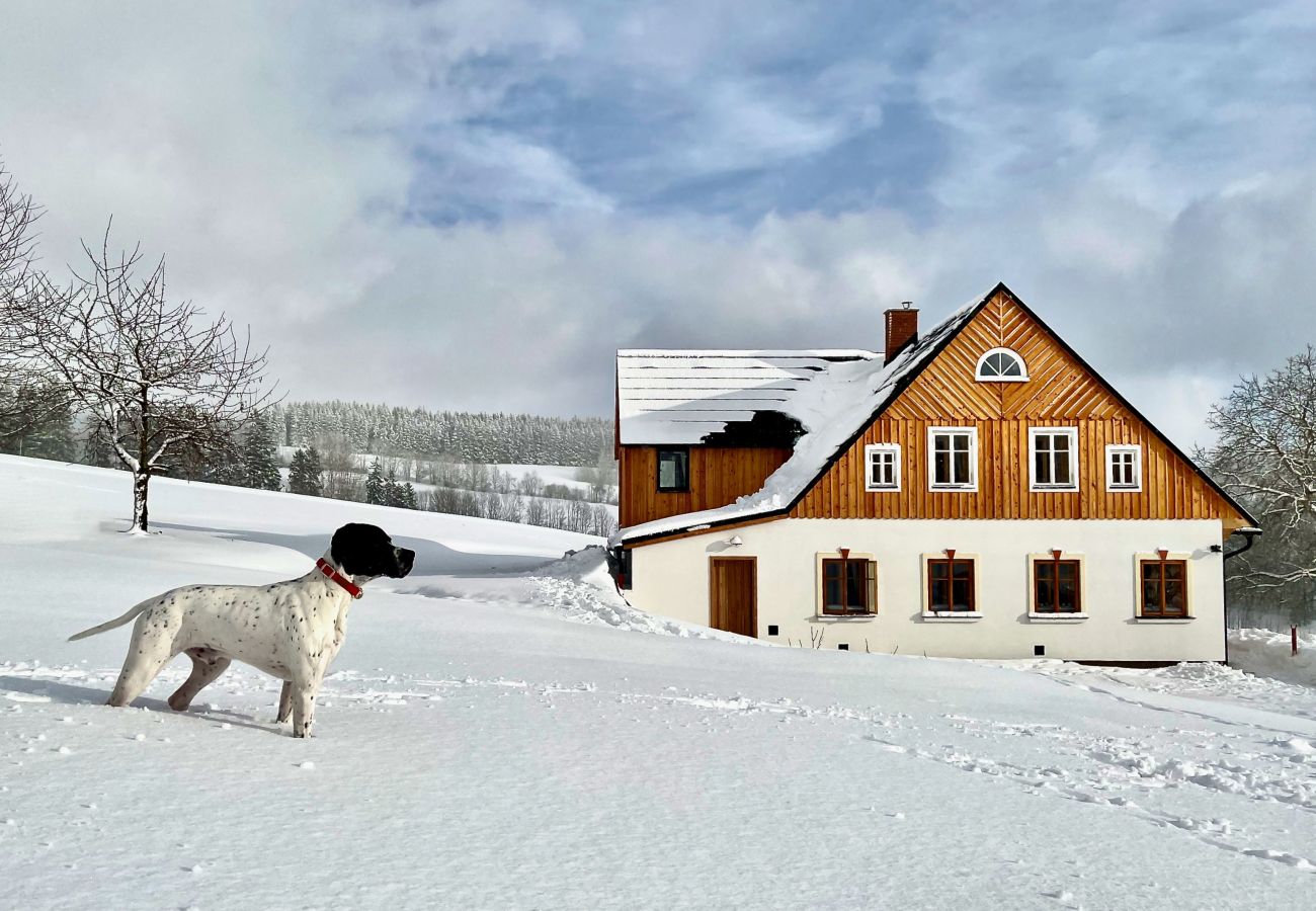 Villa in Víchová nad Jizerou - LVV033