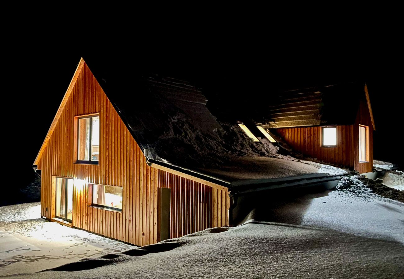 Villa in Víchová nad Jizerou - LVV033