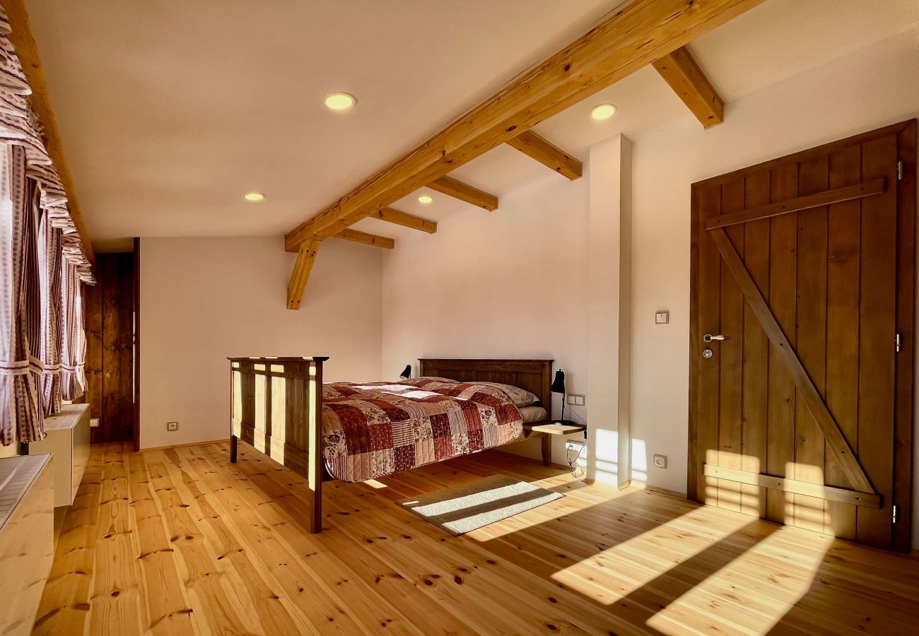 Villa in Víchová nad Jizerou - LVV033