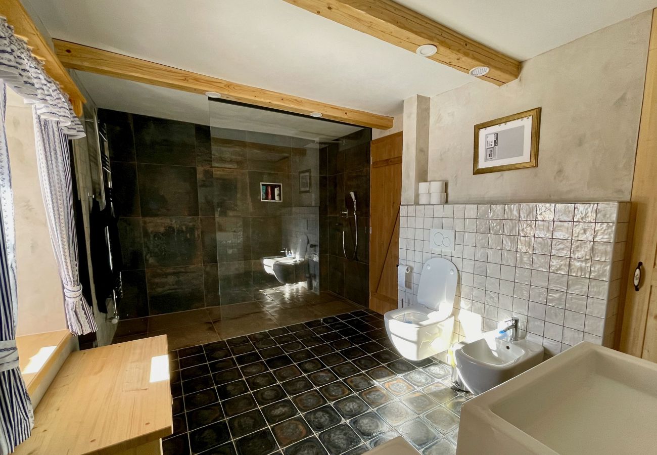 Villa in Víchová nad Jizerou - LVV033