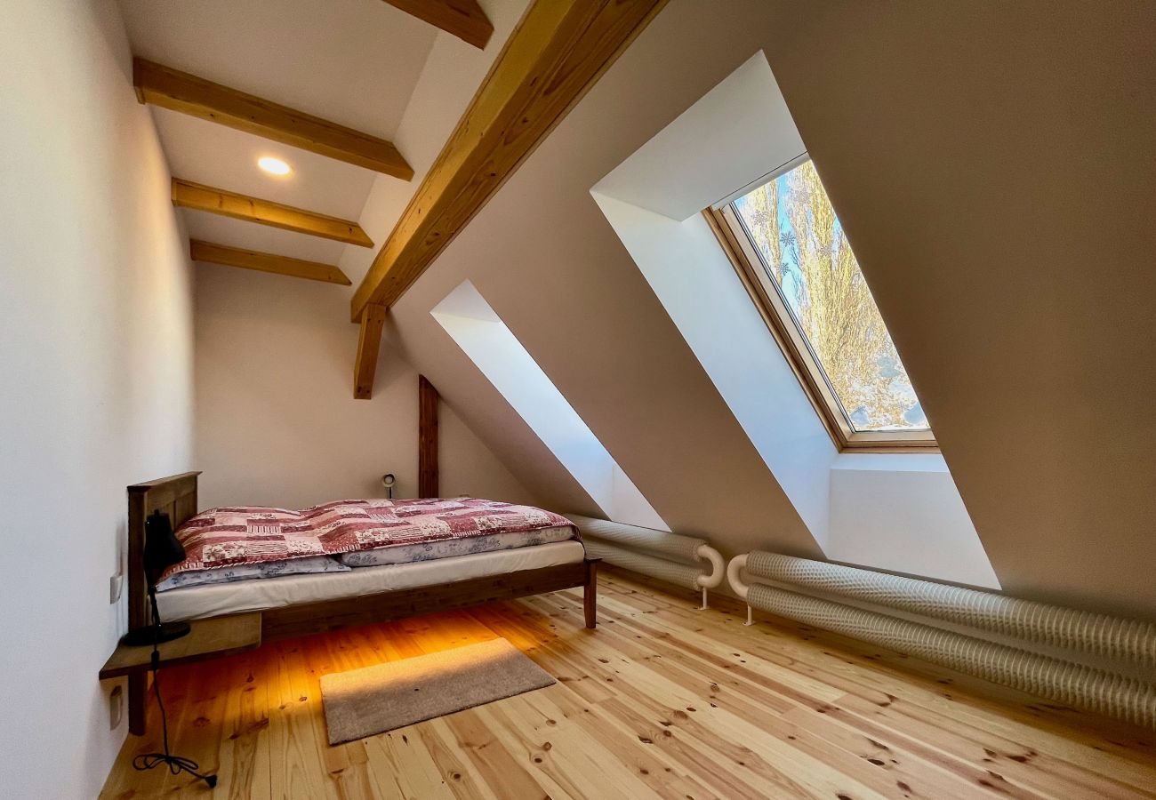 Villa in Víchová nad Jizerou - LVV033