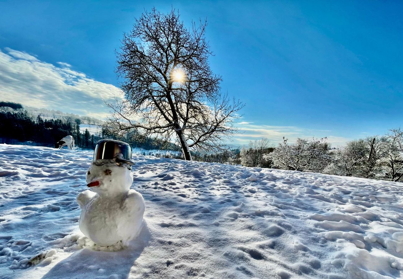 Villa in Víchová nad Jizerou - LVV033