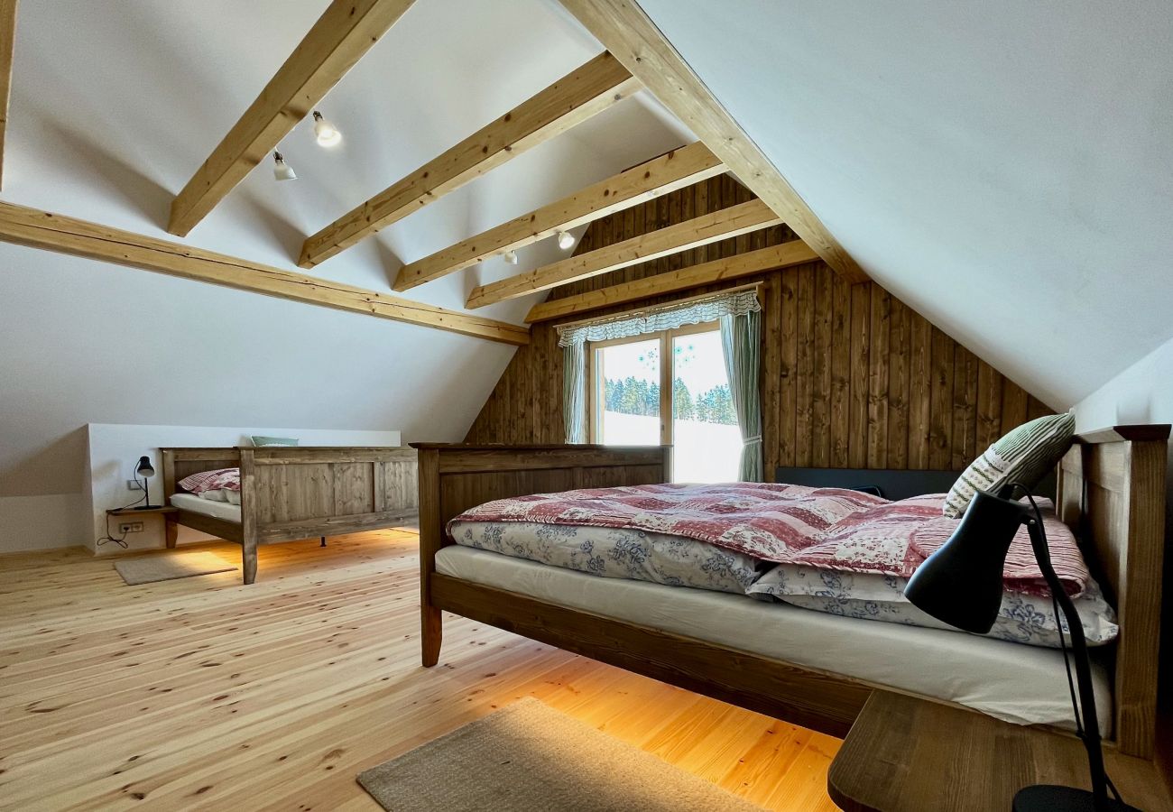 Villa in Víchová nad Jizerou - LVV033