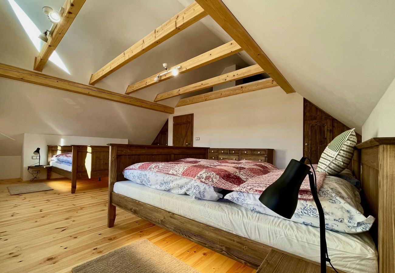 Villa in Víchová nad Jizerou - LVV033