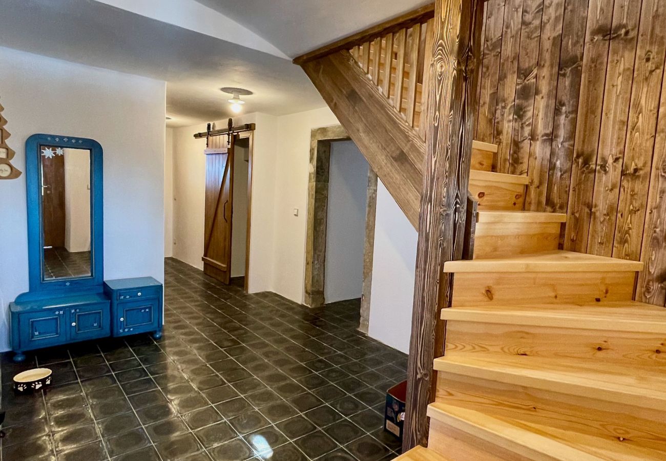 Villa in Víchová nad Jizerou - LVV033