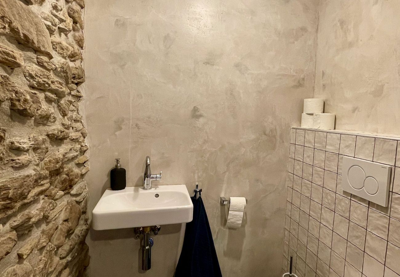 Villa in Víchová nad Jizerou - LVV033