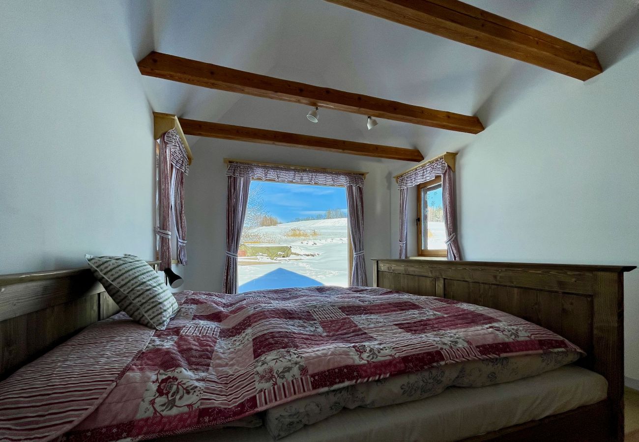 Villa in Víchová nad Jizerou - LVV033