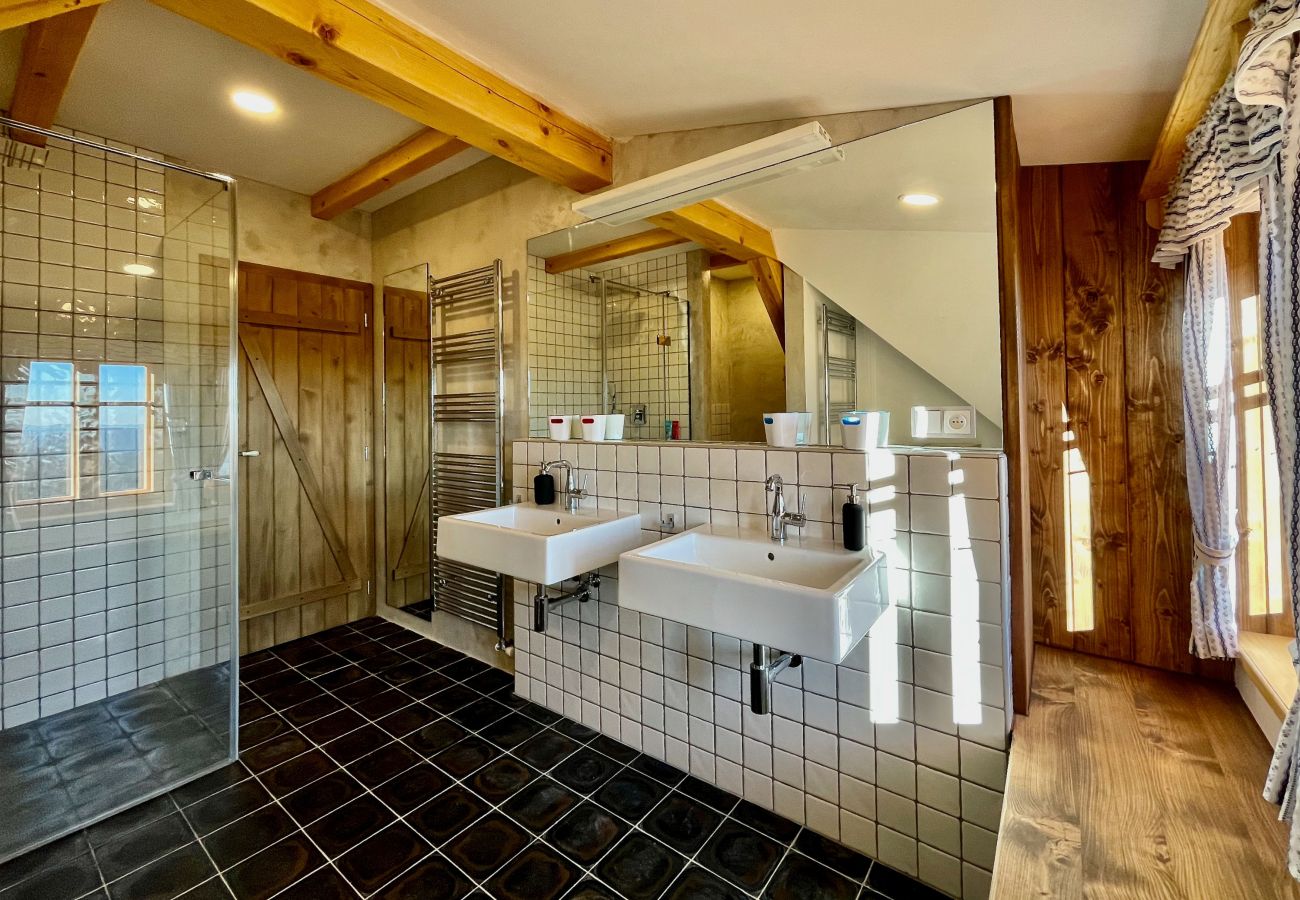 Villa in Víchová nad Jizerou - LVV033