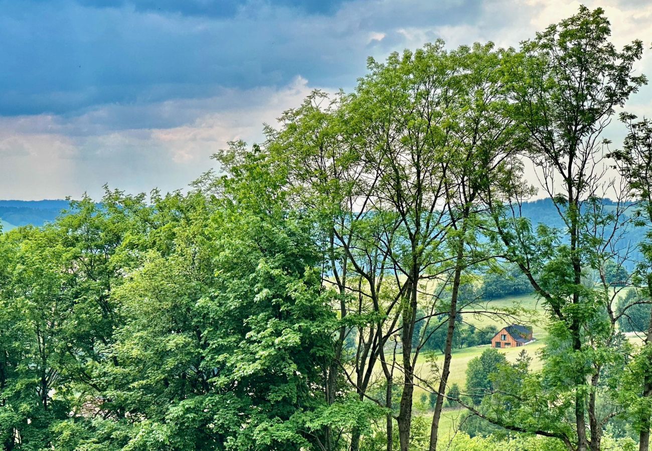 Villa in Víchová nad Jizerou - LVV033