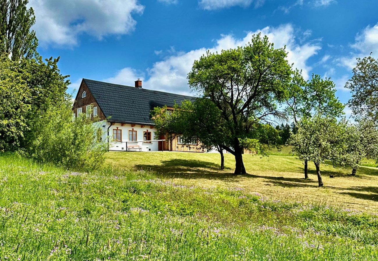 Villa in Víchová nad Jizerou - LVV033