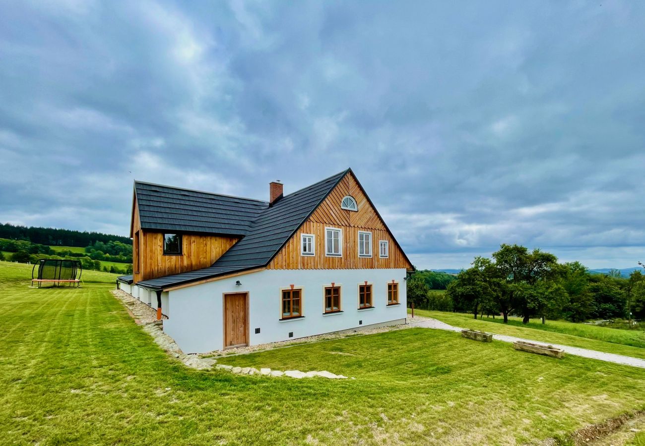 Villa in Víchová nad Jizerou - LVV033