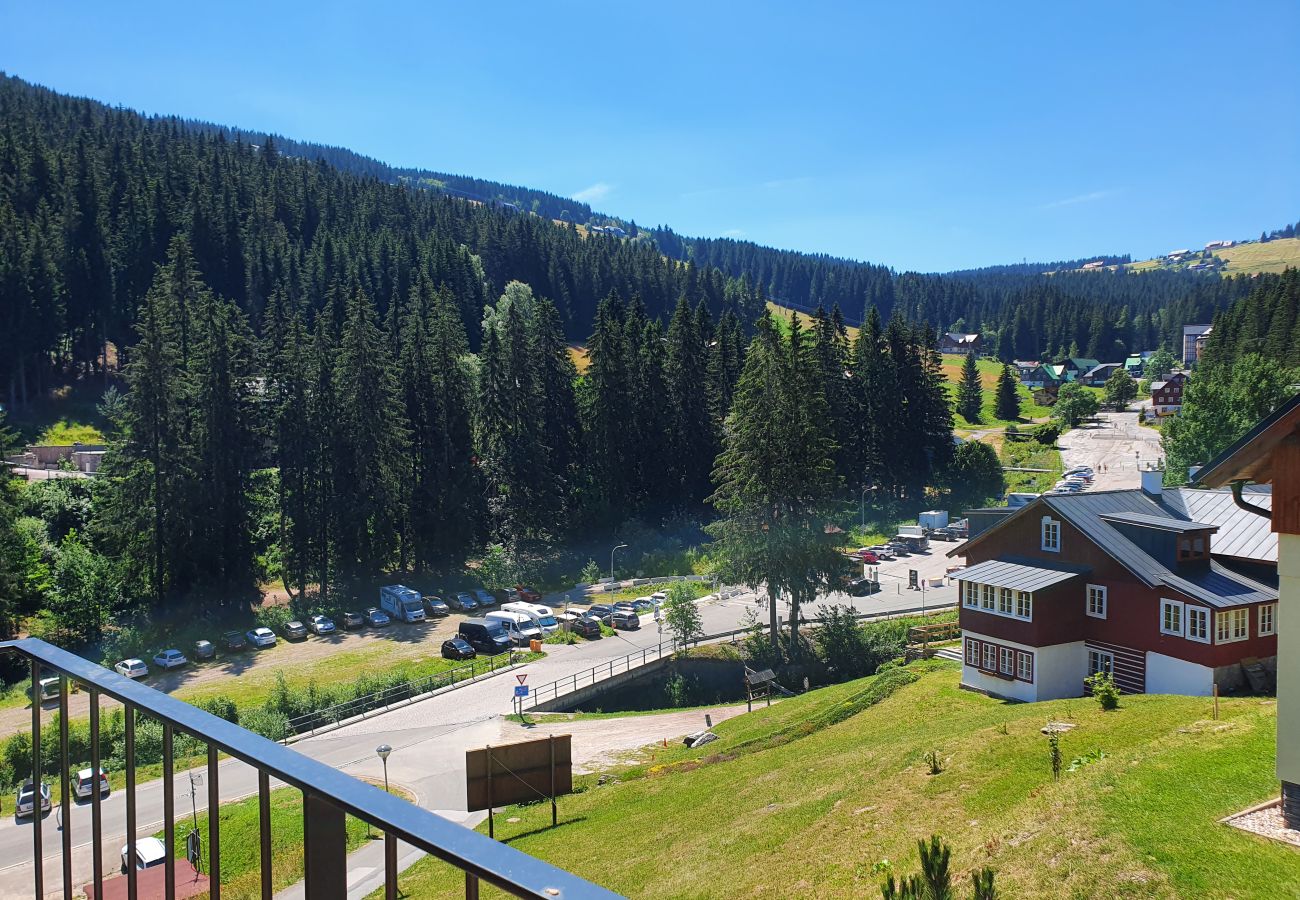 Apartment in Pec pod Snežkou - KPB034-01 