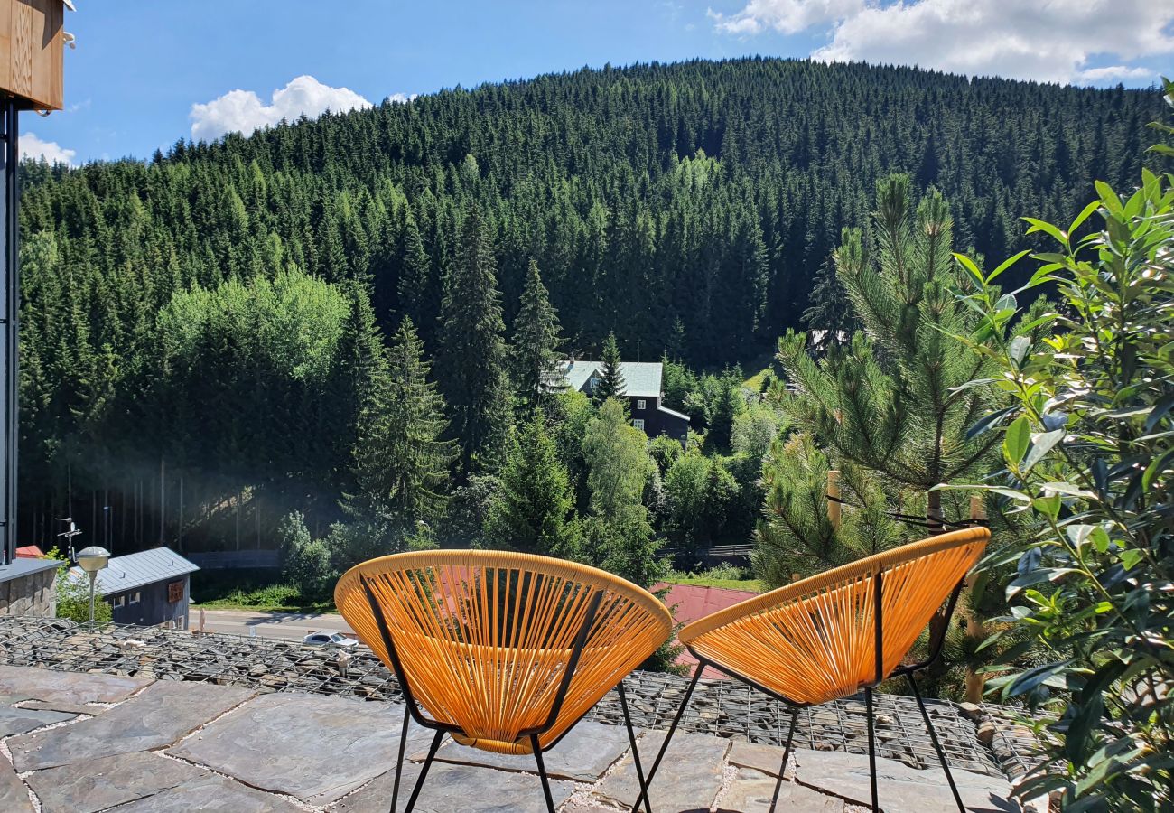 Apartment in Pec pod Snežkou - KPB034-02