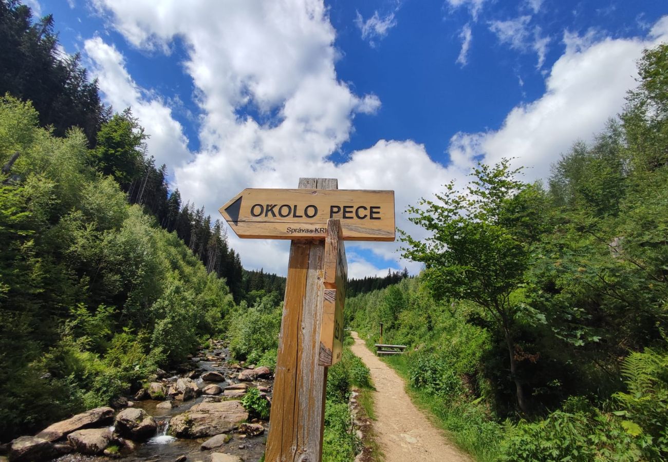 Apartment in Pec pod Snežkou - KPB034-02