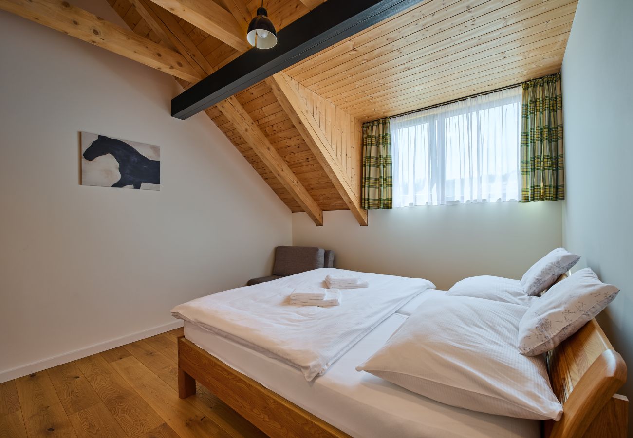 Apartment in Cerný Dul - KCB045