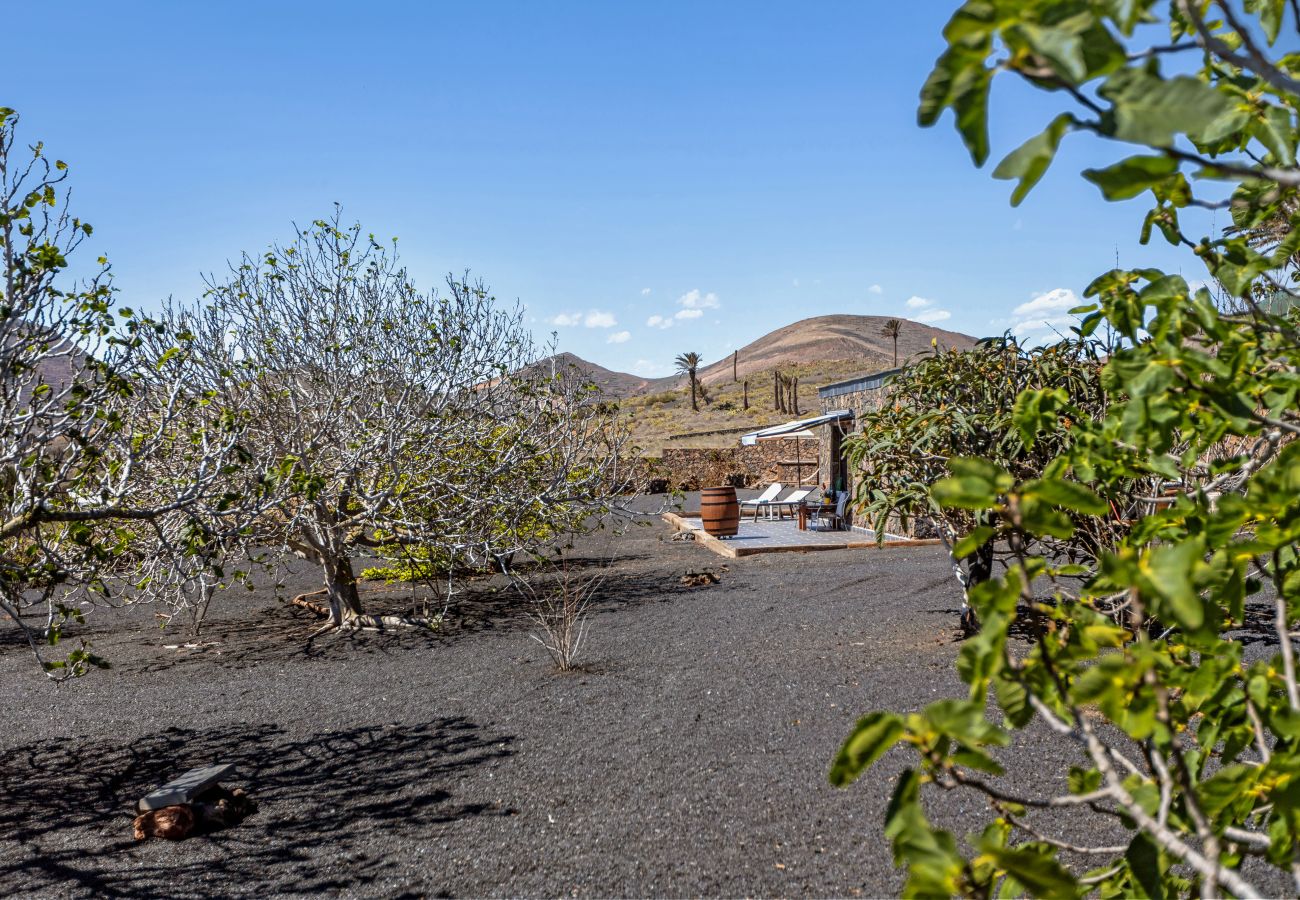 House in Haría - Finca la Molina Lanzarote