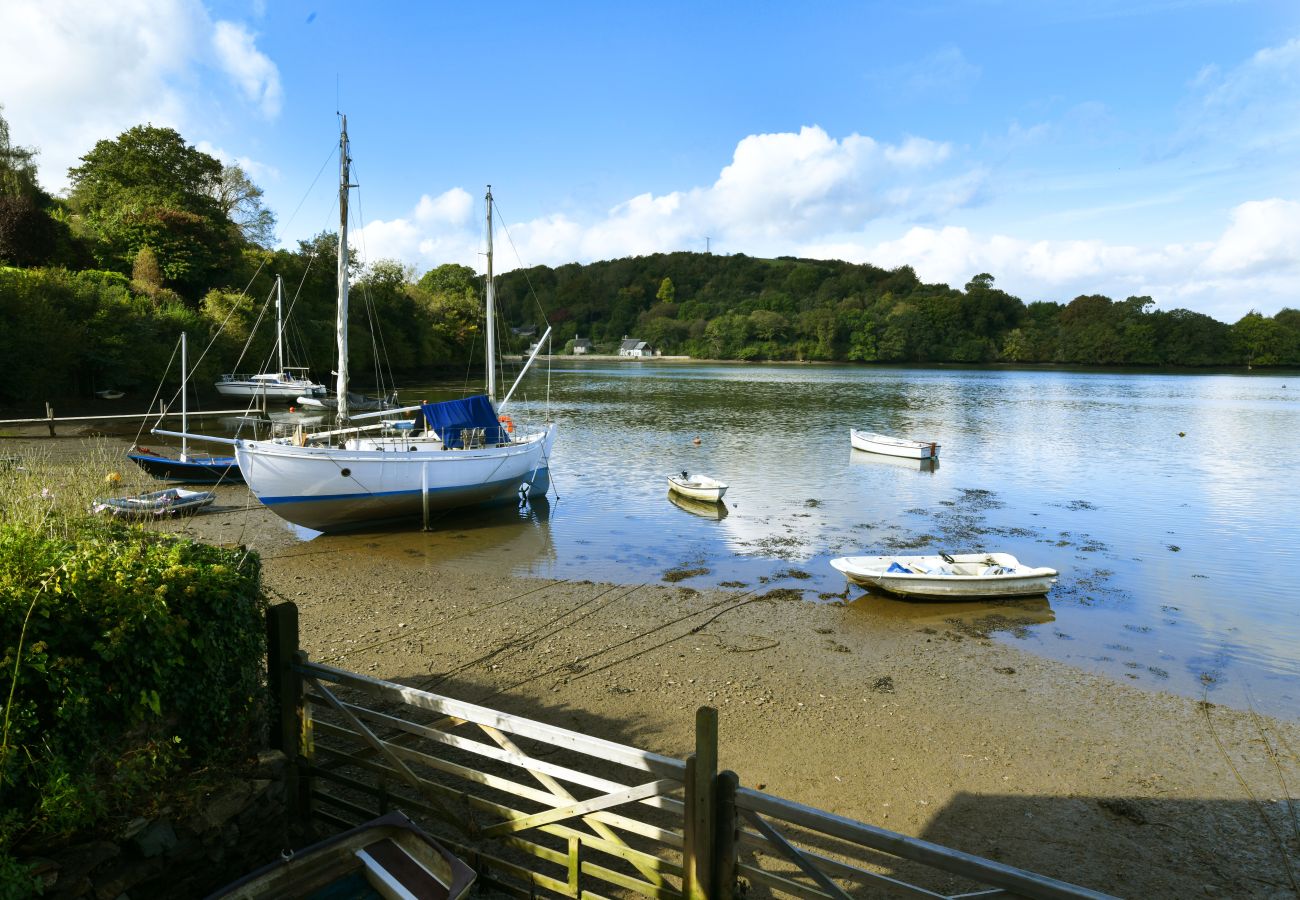 Cabin in Dittisham - Water Edge Boathouse on the River Dart