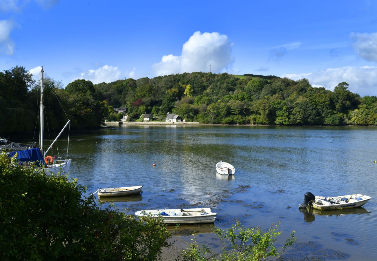 House in Dittisham - Water Edge House and Boathouse - With Swimming Pool