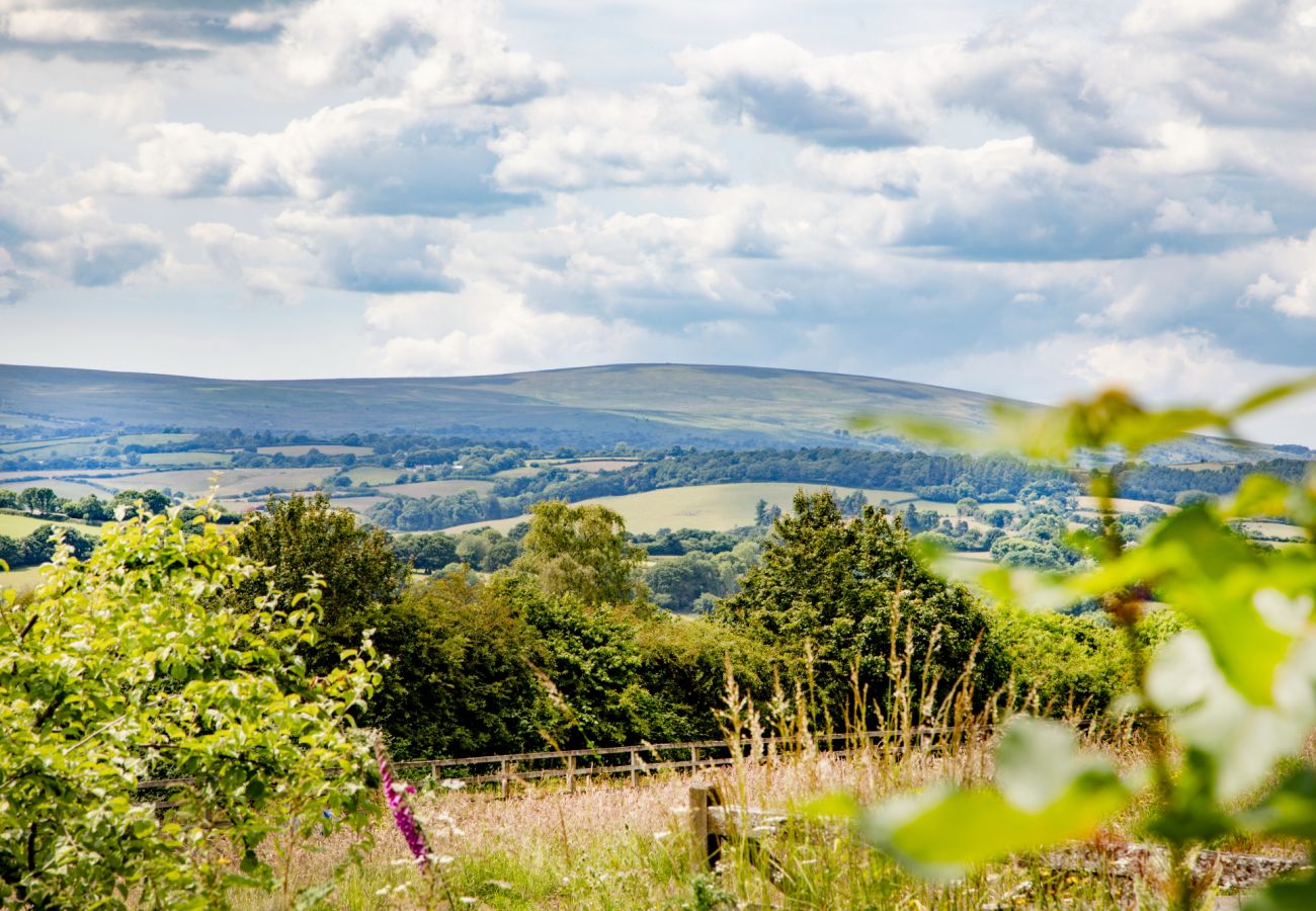 House in Moretonhampstead - Linscott Farmhouse - Boutique retreat with hot tub