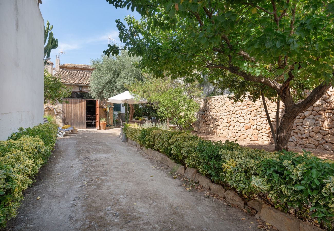 House in Lloseta - Sa Posada