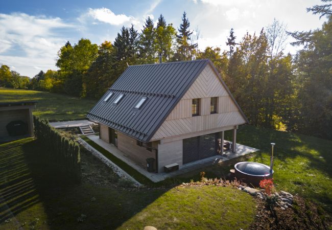 Villa in Vysoké nad Jizerou - LVTA052