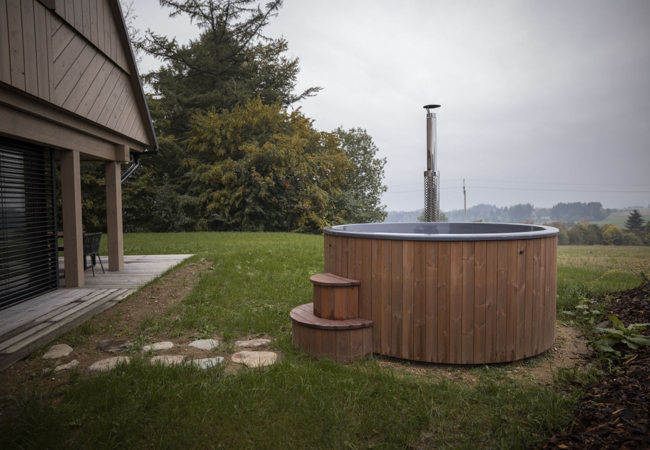 Villa in Vysoké nad Jizerou - LVTA052