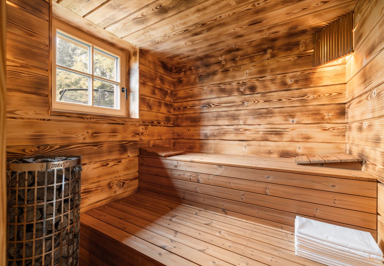 Villa in Vysoké nad Jizerou - LVTA052