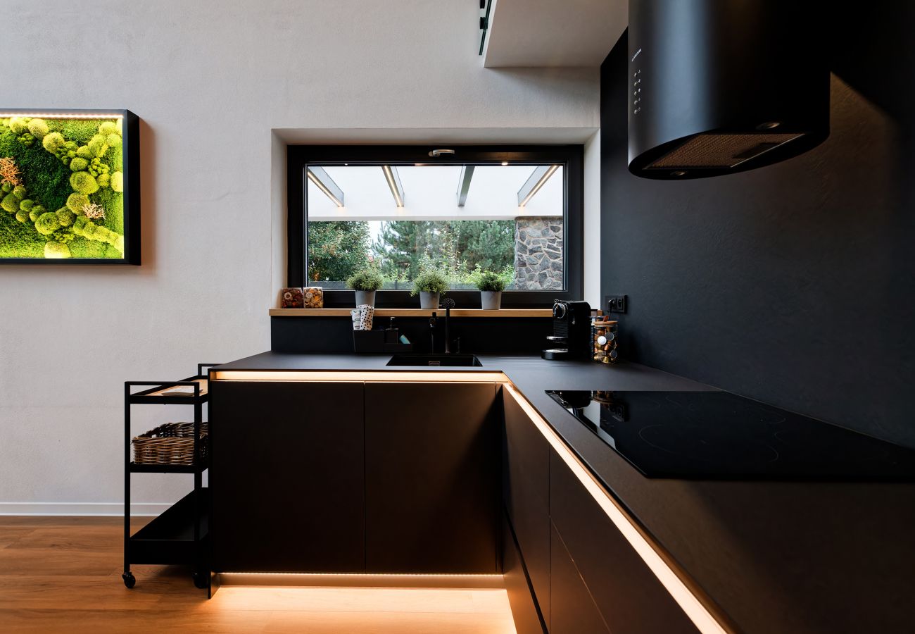 Villa in Hlinsko - VHHO054 