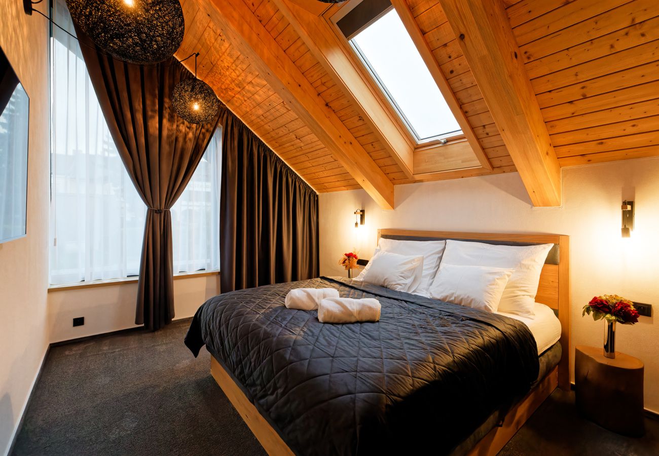 Villa in Hlinsko - VHHO054 