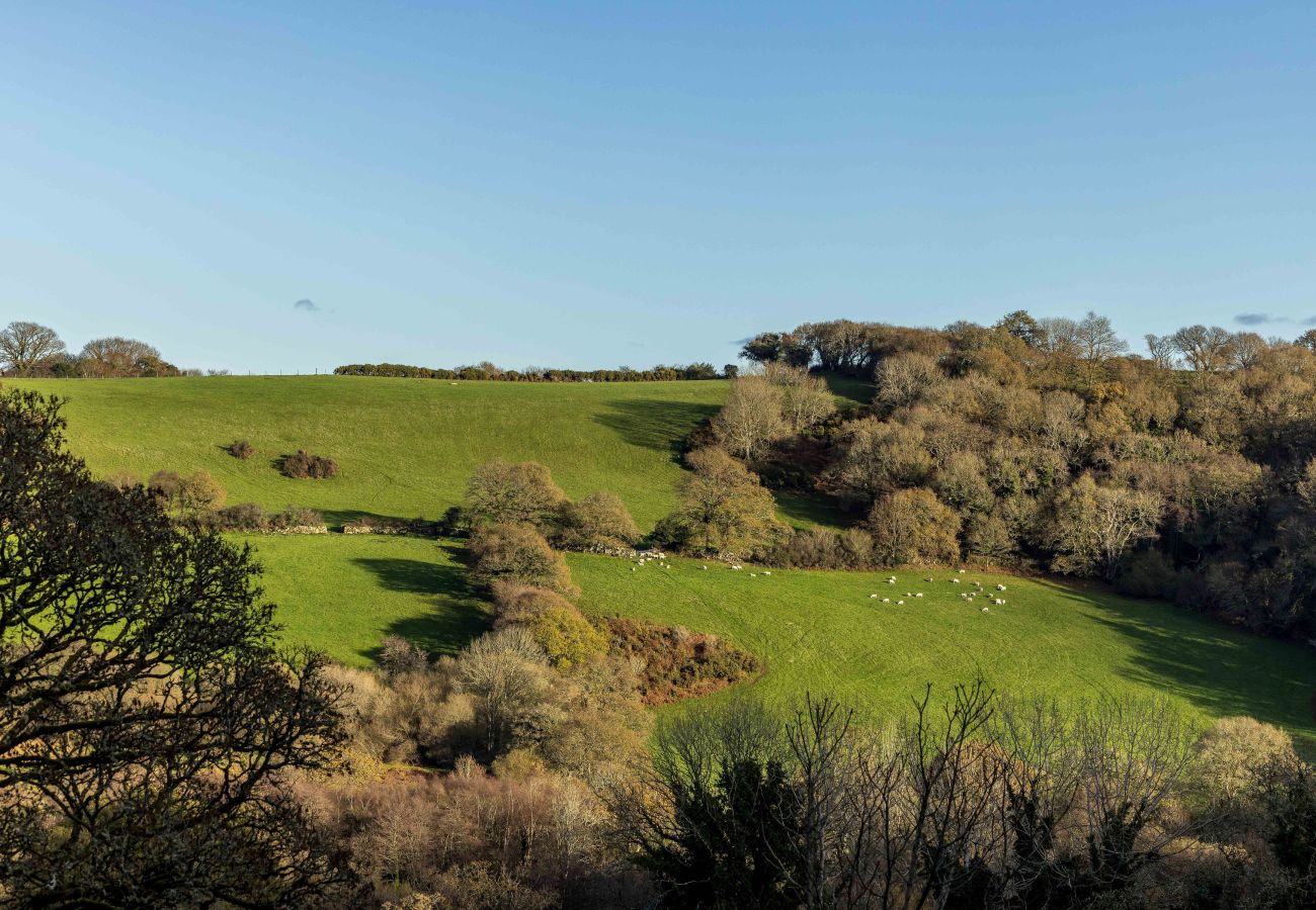 View from the property Woodtown, rolling hills of Devon.