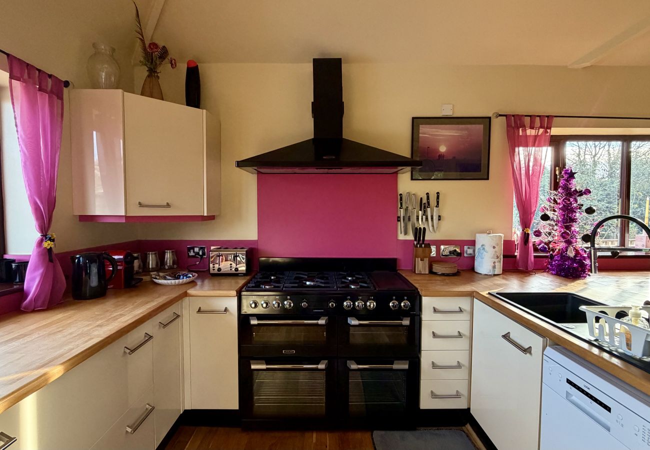 Bright kitchen with large windows and garden views at Pheasants Haunt holiday home in Paignton