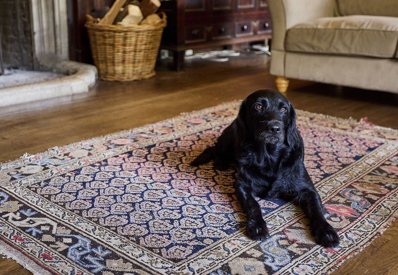 Country house in Etchingham - Haremere Hall - A Jacobean Estate of Grandeur