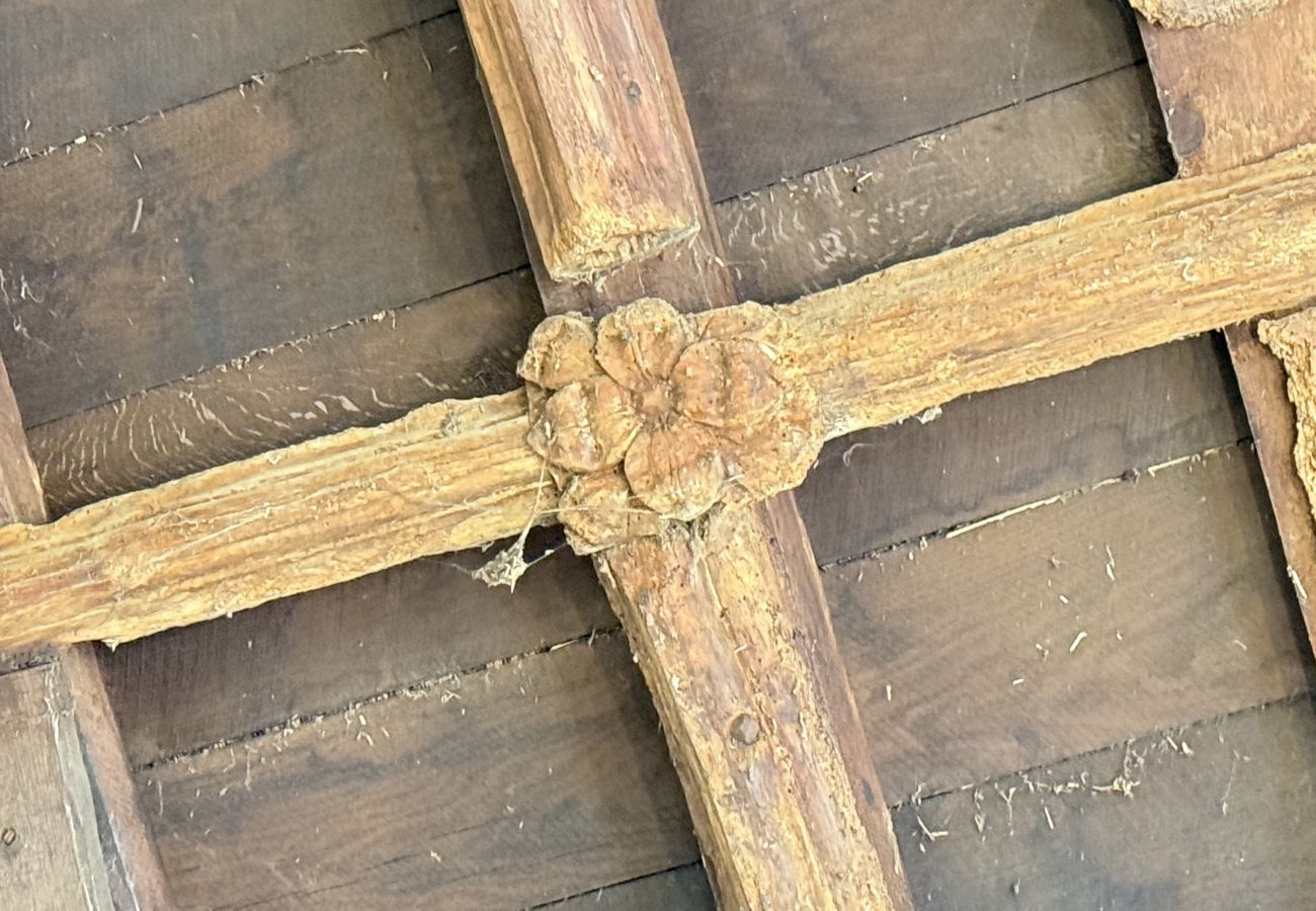 Country house in Bickleigh - Bickleigh Castle - A Majestic Devon Estate for Exclusive Gatherings