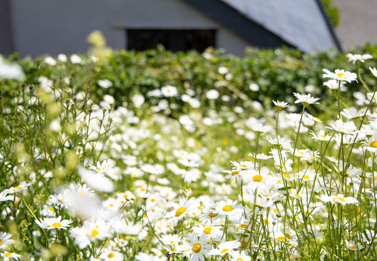 Cottage in East Cornworthy - East Cornworthy Cottage - Stylish 4-Bed Devon Retreat with Hot Tub, Fire Pit & Rolling Hill Views